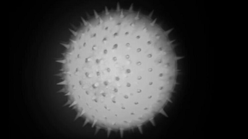 無(wú)散斑熒光照明