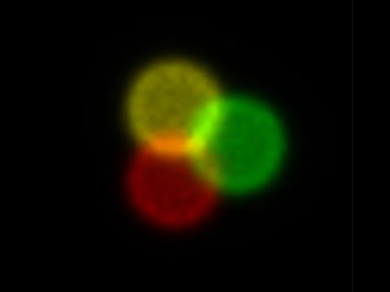 寬帶擴(kuò)散器